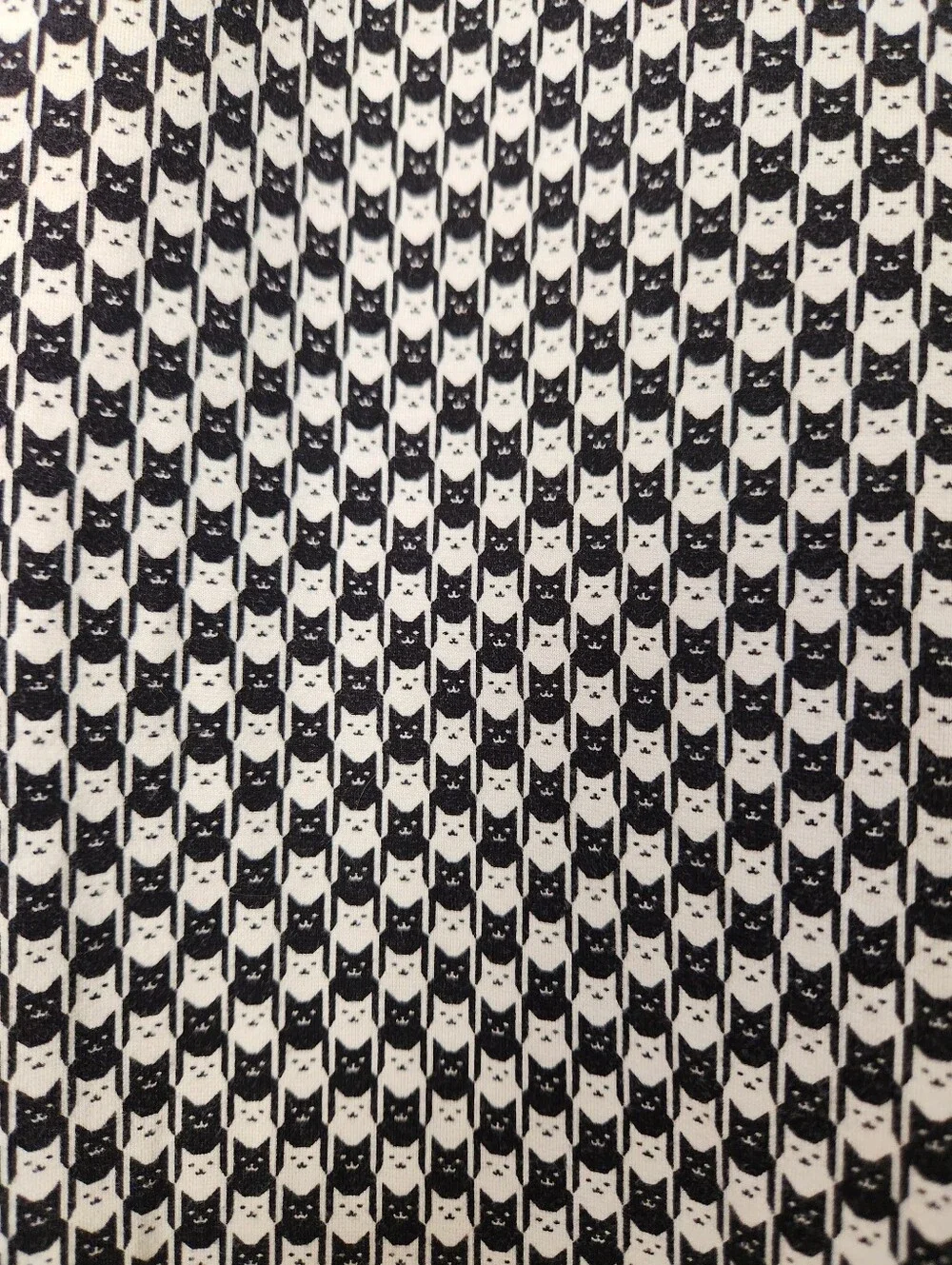 Betabrand black white